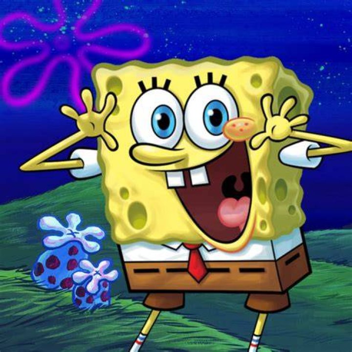 パール・カーニ Spongebob Wiki Fandom