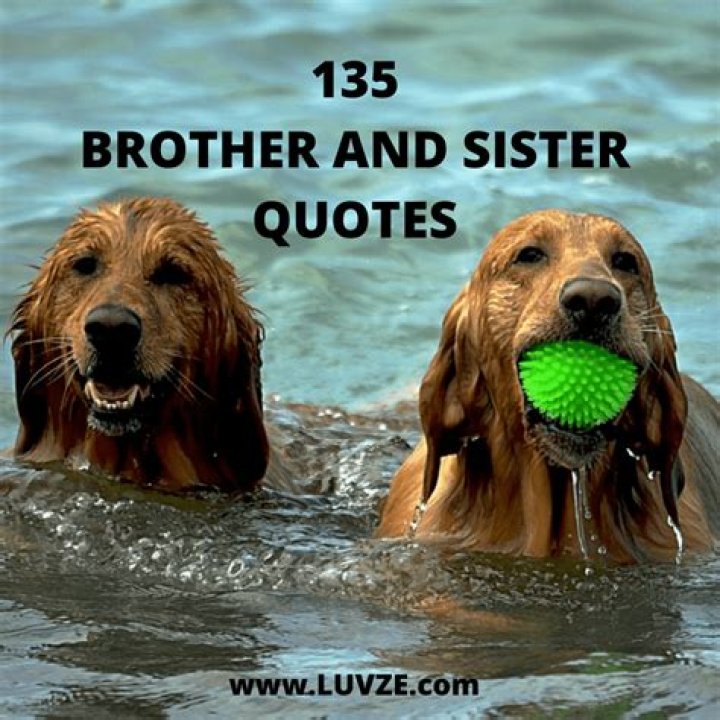 135 Cute Brother Sister Quotes, Sayings and Messages