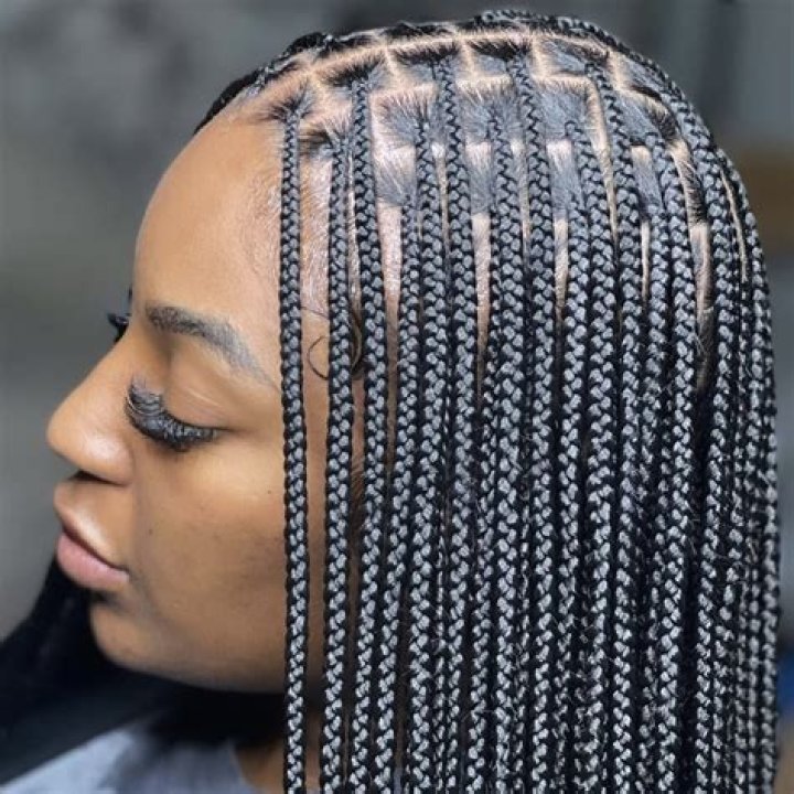 25 Most Beautiful Knotless Box Braid Styles Trending Now ThriveNaija