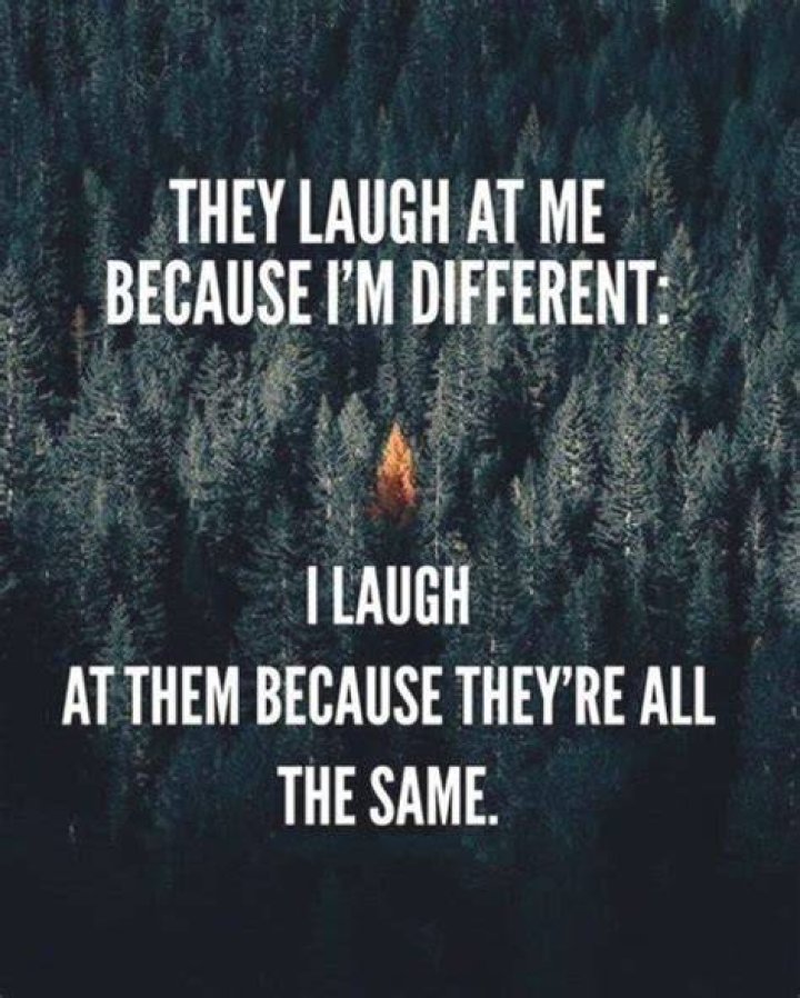 55 Funny Motivational Quotes That Will Inspire You Extremely
