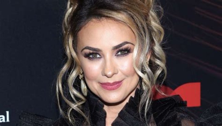 Aracely Ar&aacute;mbula, actriz de Telemundo, dej&oacute; ver su bodysuit de encaje