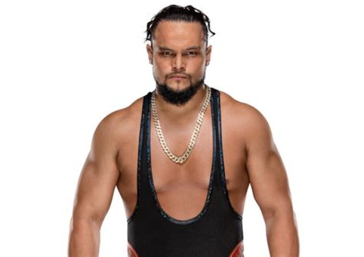 Bo Dallas WWE Wiki Fandom