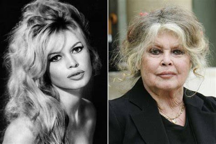 Božsk&aacute; Brigitte Bardot zenysostylom.sk