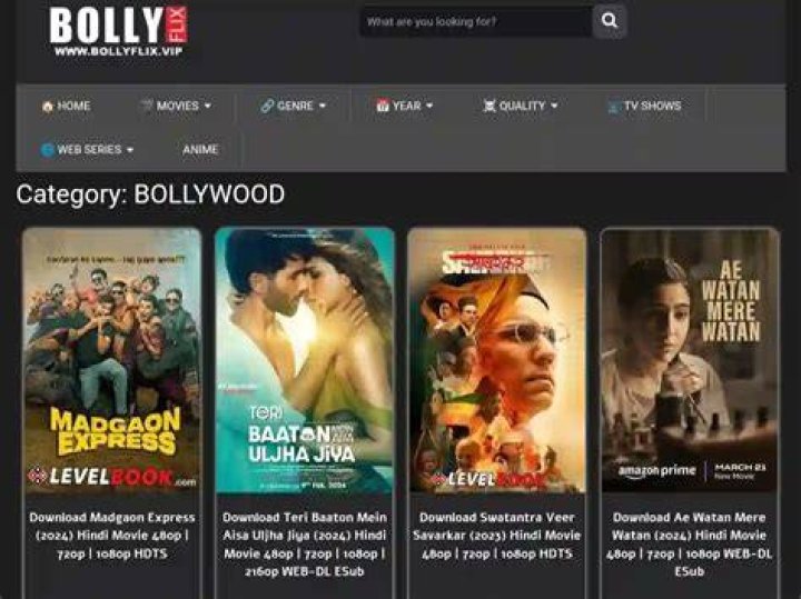 Bollyflix 2024 Free Download Latest HD Bollywood Movies