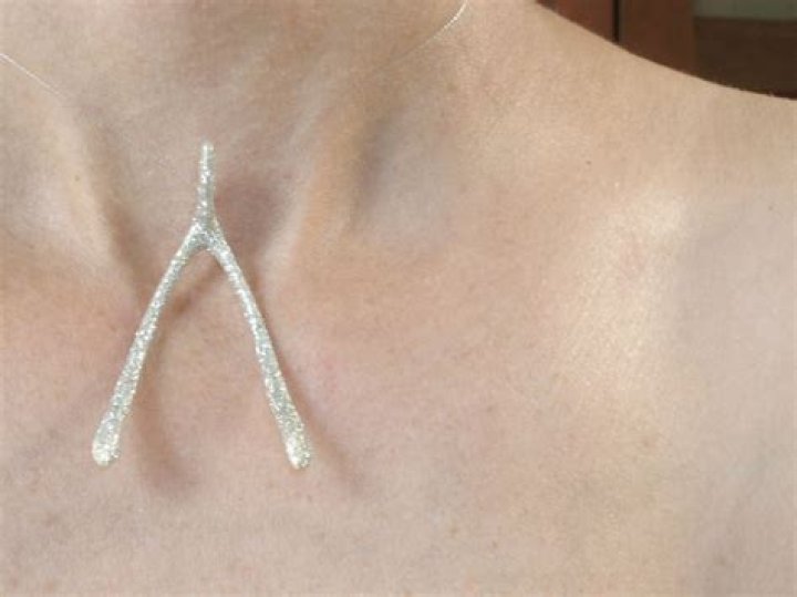 Bridges on the Body wishbone