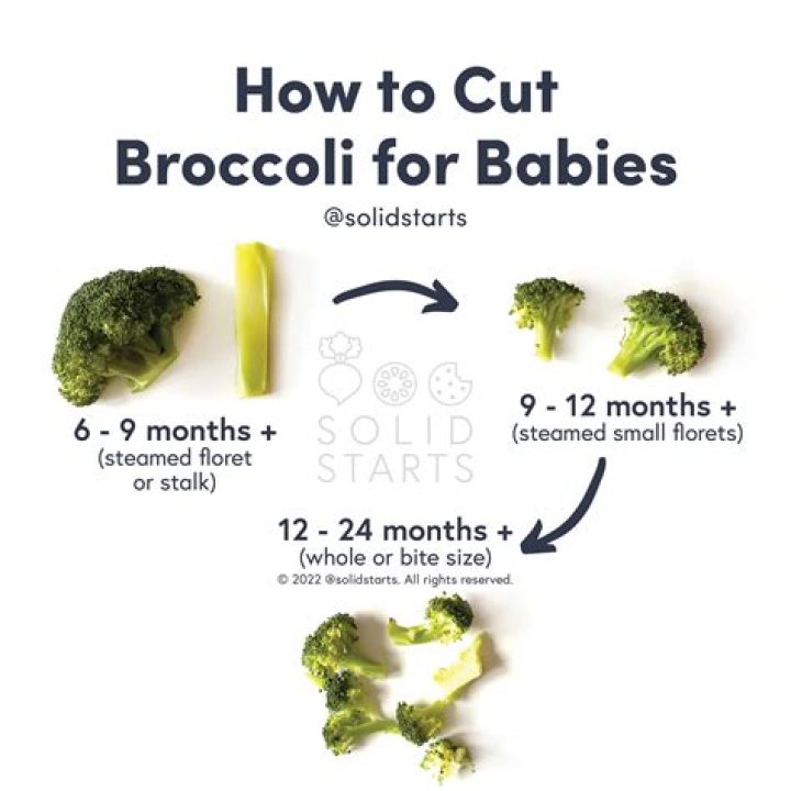 Can babies eat broccoli puree?