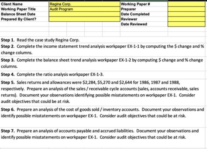 Can client access audit working papers?