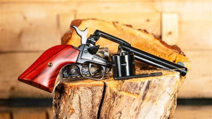 Can you shoot 22 mag in a Heritage Rough Rider?