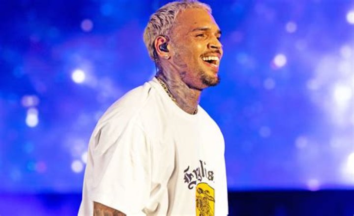 Chris Brown Net Worth How Much Does the Rapper Earn?
