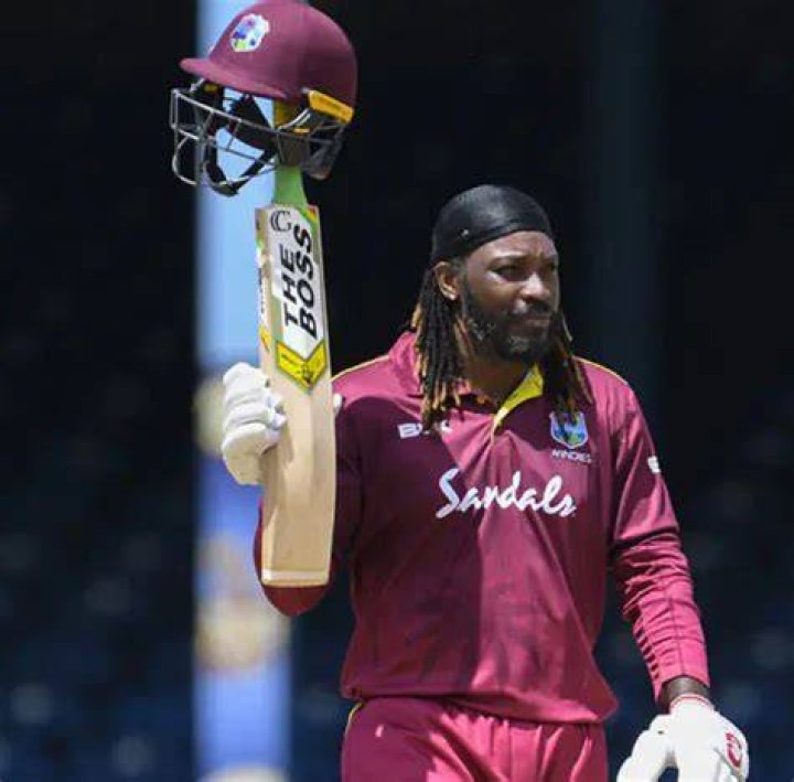 Chris Gayle Net Worth, Height, Affairs, Age, Bio and More 2024 The