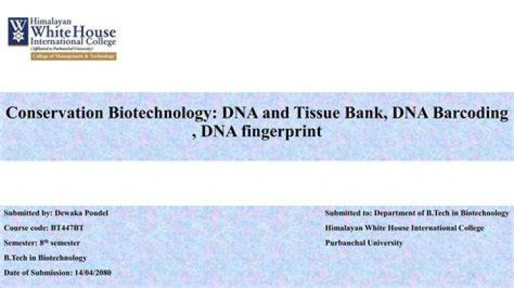 Conservation of Material &mdash; DNA Replication Expii