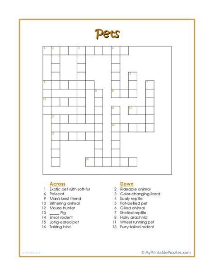 Crossword Puzzle Pets Anywhere Teacher