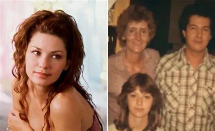Darryl Twain Truth About Shania Twain's Brother Dicy Trends