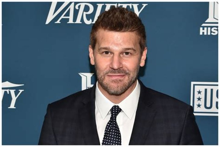 David Boreanaz, A Philanderer Cheating On Wife & Family? Impairing