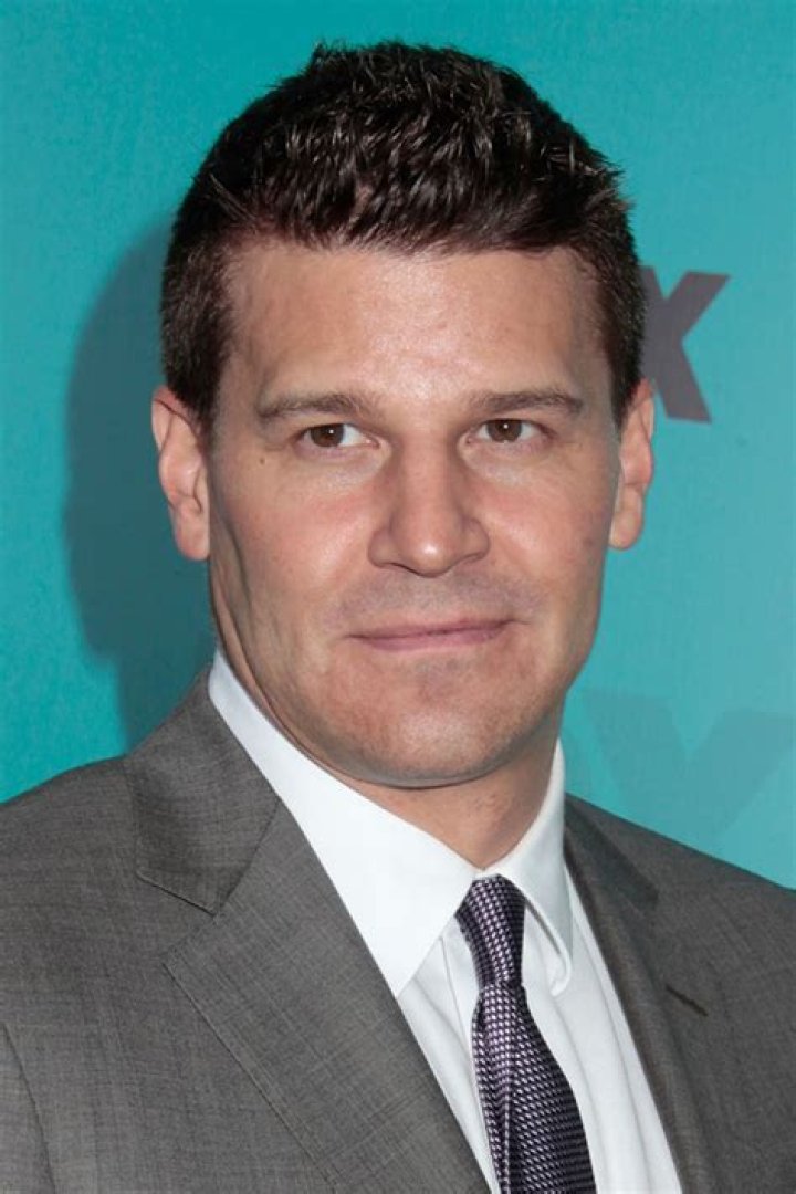 David Boreanaz David Boreanaz Photo (35559918) Fanpop
