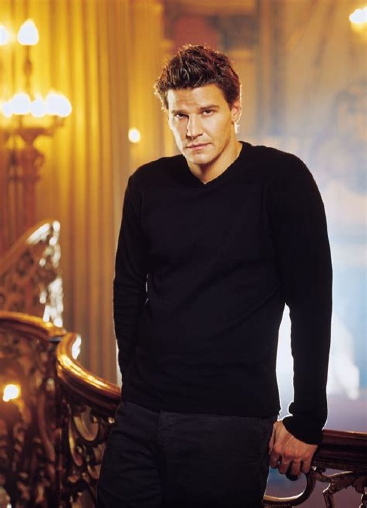 David Boreanaz Will There Ever Be An Angel And Buffy Reunion?