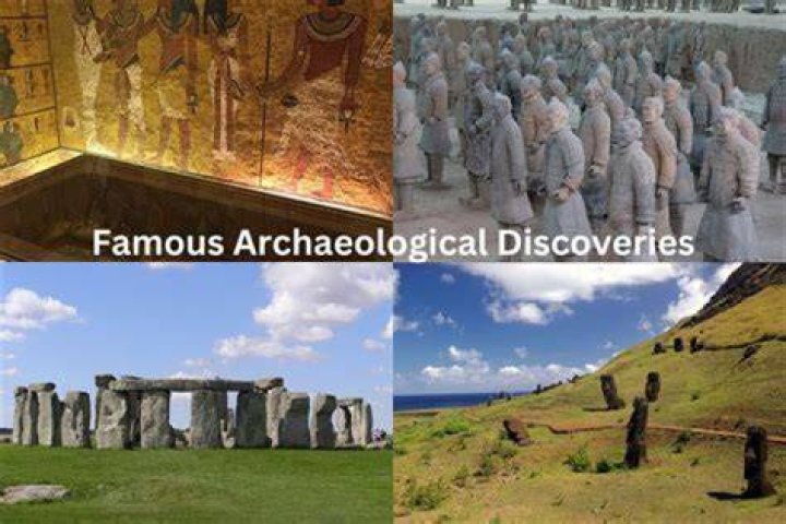 Discoveries And Insights For The "benk53" Niche
