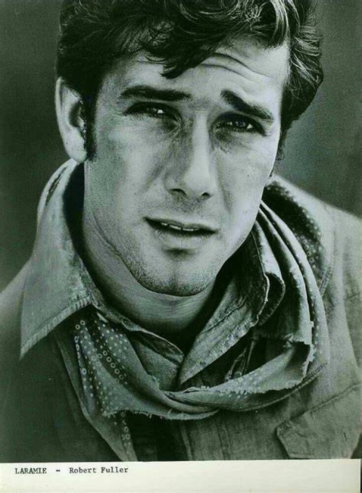 Does Robert Fuller Still Act? American Profile