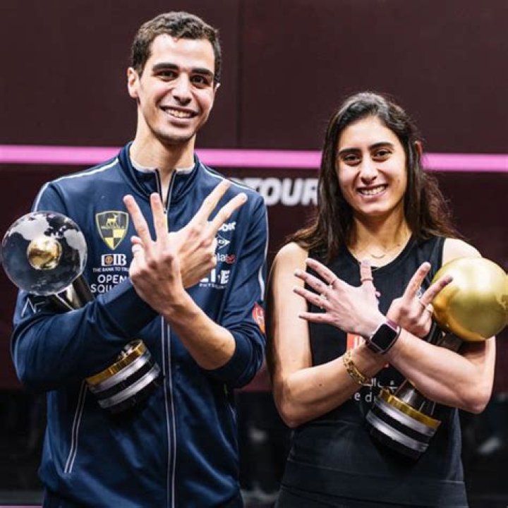 Egypt&rsquo;s Ali Farag and Nour El Sherbini crowned world champions in