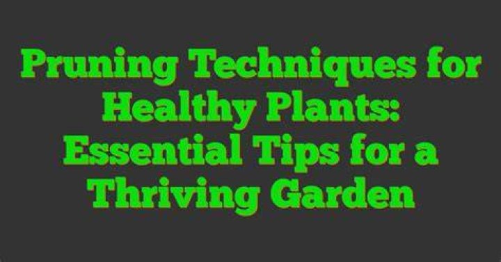 Essential Tips For Healthy Plants