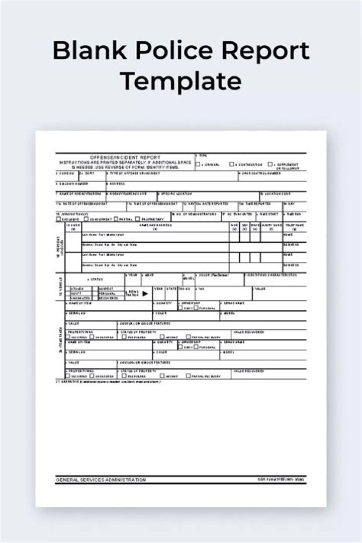Fake Printable Blank Police Report Template