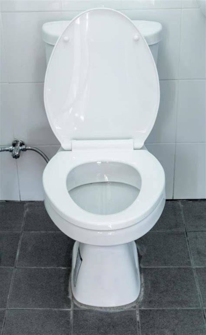 Flush Toilet Free Stock Photo Public Domain Pictures