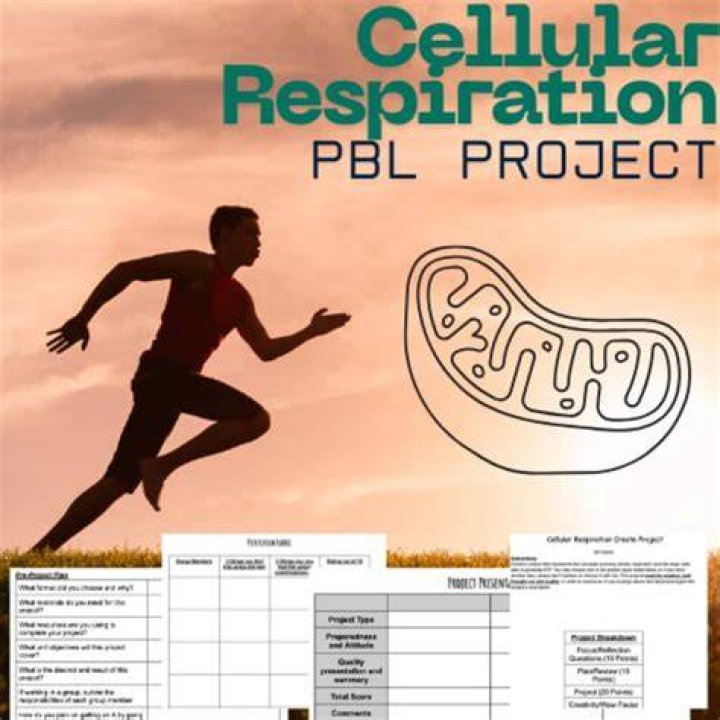 Fueling Life at the Cellular Level A Closer Look at ATP and Its Role