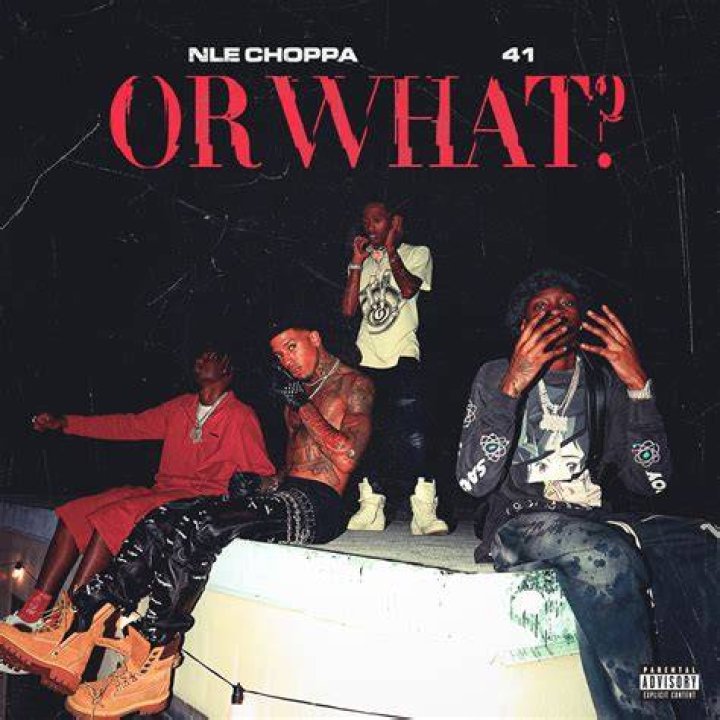 Here Are 5 Of NLE Choppa's Most Exciting Music Videos Cool Accidents