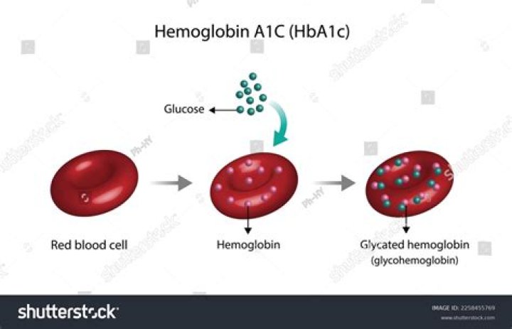 HgbA1C, hba1c, glycosylated hemoglobin and normal a1c Doctablet&reg;
