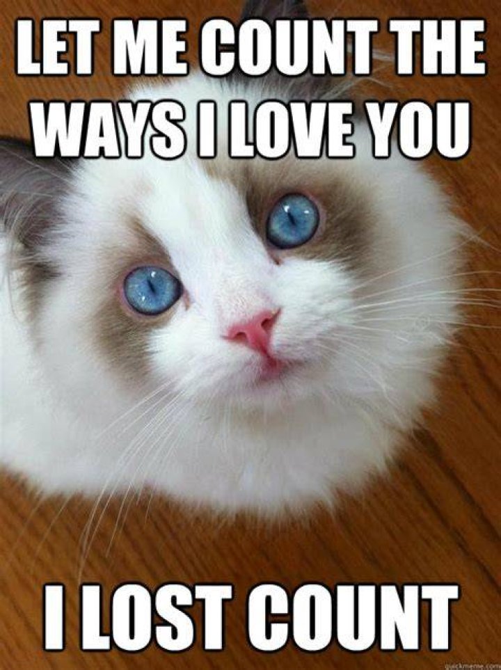 Hilarious "I Want You" Memes For Him: Express Your Love With Humor