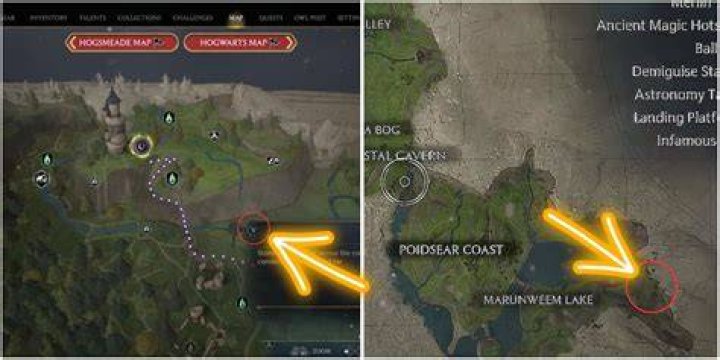 Hogwarts Legacy How to Catch a Phoenix GameSkinny