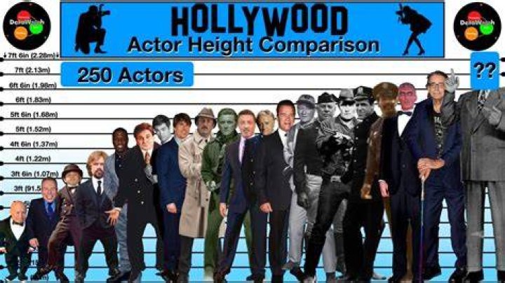 Hollywood Actors Height Comparison Celebrity Size Comparison YouTube