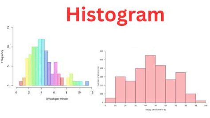 How do you explain a histogram in a presentation?