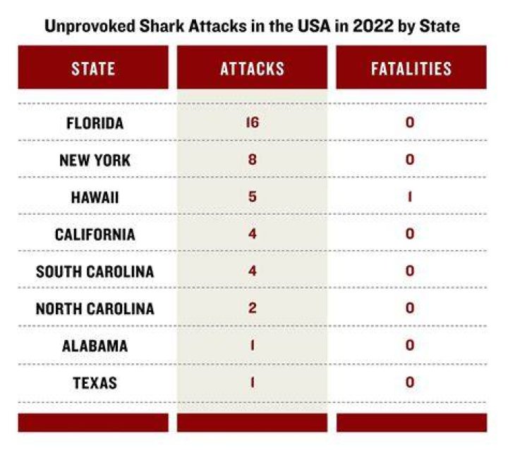 How many shark attacks in the US each year?