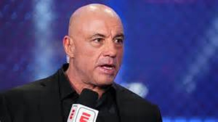 How much did Joe Rogan get paid per Fear Factor episode?