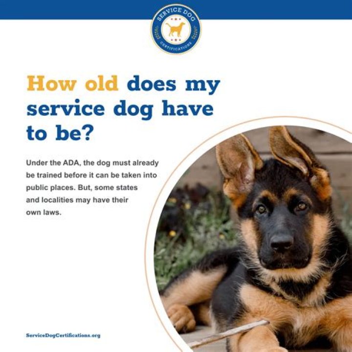 How old does a dog have to be to compete in Schutzhund?