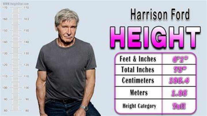 How Tall Is Harrison? Height Comparison! YouTube