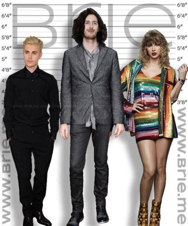 How Tall is Hozier? Hozier's Height Explained SarkariResult
