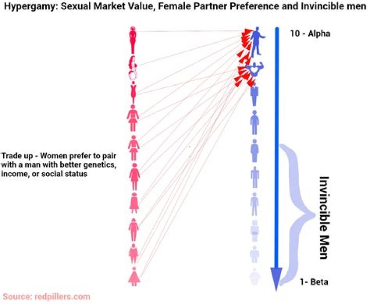 Hypergamy & Hypogamy Definition & Differences Video & Lesson