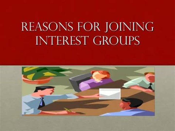Interest Groups. Reasons For Joining Irrationality of joining a group A