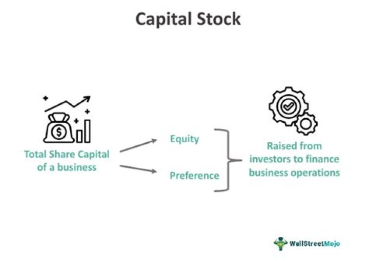 Is capital stock considered revenue?