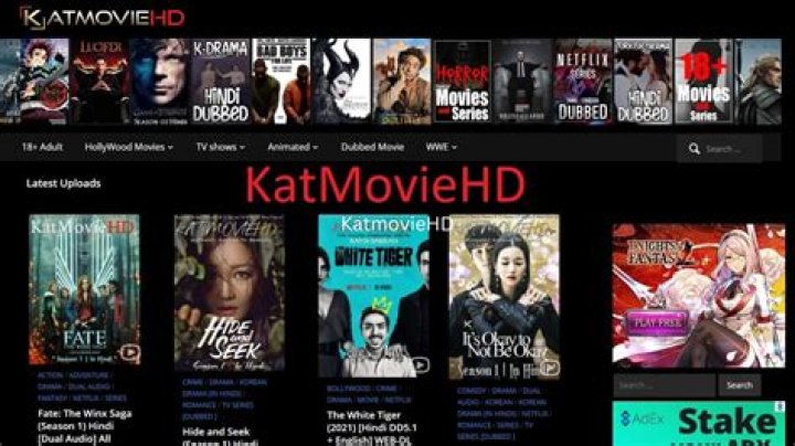 KatmovieHD 2023 Bollywood Movies, Korean Dramas Download Sarkari Job Here