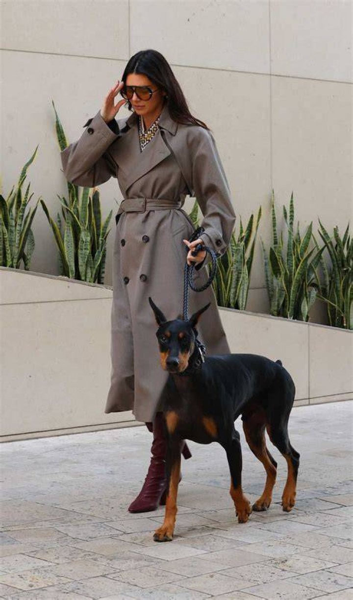Kendall Jenner With her Doberman Pinscher out for a walk in Beverly