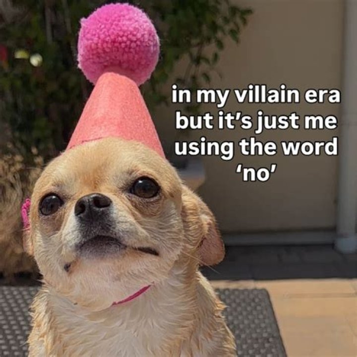Kohl&rsquo;s Might Your New Favorite Grocery Store Reader's Digest