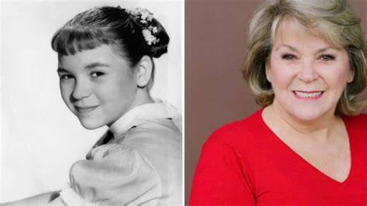Lauren Chapin Net Worth Net Worth Lists
