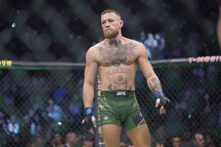 Media Conor McGregor's Main Sparring Partner For UFC 246 Fight v