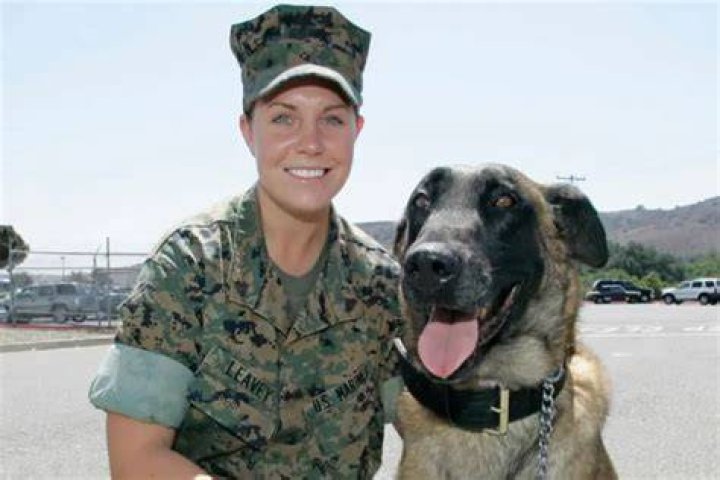 Megan Leavey's Marital Journey: A Love Story With Matt Morales
