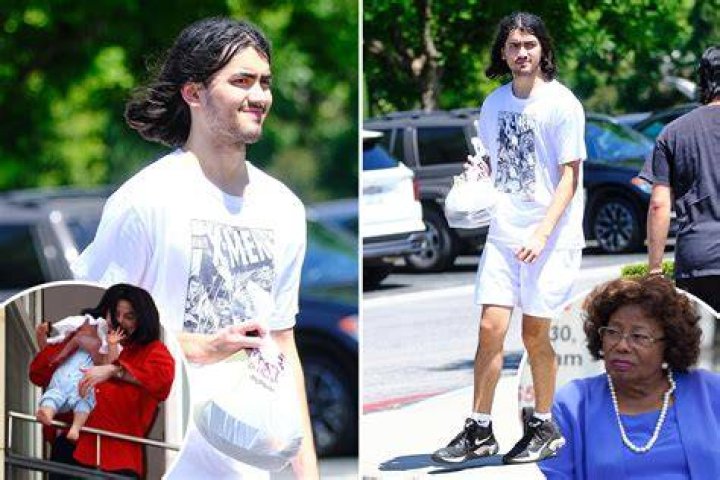 Michael Jackson&rsquo;s Youngest Son Blanket Buys N950 Million House As He
