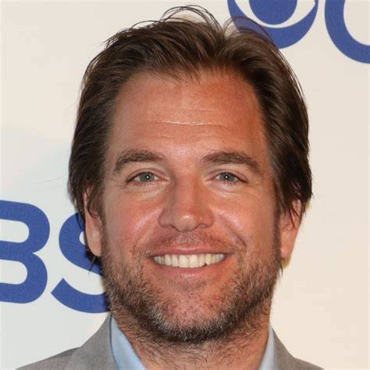 Michael Weatherly AlloCin&eacute;