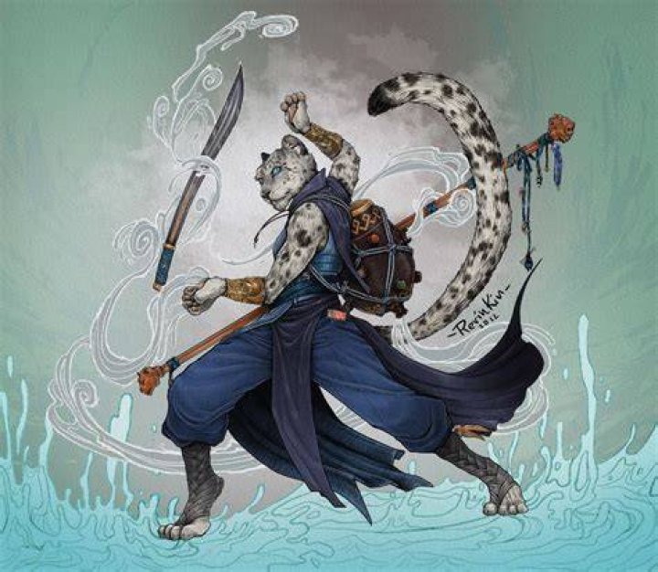 Nim, the Tabaxi Monk r/Dungeons_and_Dragons